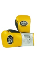 Gants de boxe de qualité supérieure No Boxing No Life, à doigts entiers, avec lacets réglables, pour l'entraînement Sanda