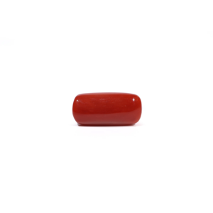 Natural Red Coral Oval Cabochon Loose Gemstone 7.04 Carat Certified Wholesale - Product Image 2
