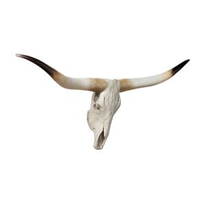 Corne décorative de buffle la plus vendue corne de buffle naturelle produit fait à la main décoratif pour la maison mieux poli - Product Image 1