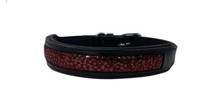 ปลอกคอสุนัขหนังพับได้ ทนทาน สำหรับใช้งานกลางแจ้ง - Product Image 4