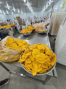 Paquete a Granel de Jaca Seca Exótica con Chile Picante, Jaca Seca con Chile Premium, Snack Vegano de Fruta, Sin Gluten, Sin OMG - Product Image 6