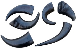 Chupete de Cuerno de Búfalo Natural para Perros, Sin Granos, Orgánico, de Larga Duración, Saludable para las Articulaciones Dentales, Ecológico - Product Image 5