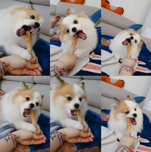 MUY VENDIDO: Palo de Madera de Café para Perros, Duradero, Ayuda a Limpiar los Dientes y a Reducir el Aburrimiento - Product Image 3