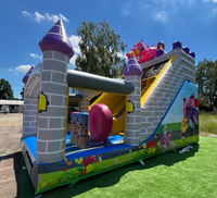 Toboggan gonflable commercial en PVC et château gonflable sec, certification CE, capacité 500 personnes, garantie 3 ans, pour fêtes et événements professionnels
