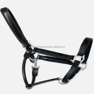 Licou en cuir rembourré durable entièrement réglable dans toutes les tailles personnalisées avec du matériel en laiton nickelé robuste - Product Image 2