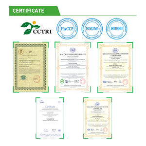 Extracto de té verde en polvo de L-teanina 20% orgánica para relajación mental - Product Image 4