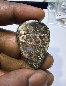 Pierre précieuse en jaspe TURTELLA 100 % naturelle de haute qualité, cabochon, pierre brute pour la guérison, jaspe en gros pour la fabrication de bijoux - Product Image 3