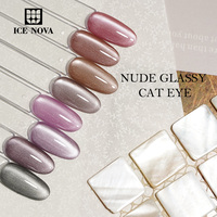 ICE NOVA Vernis Gel Effet Œil de Chat Nacré Verre Clair Perles de Verre Lumière de Lune 20 Couleurs Sans HEMA/TPO Gelée Cristal 9D Vente en Gros Nail Art UV