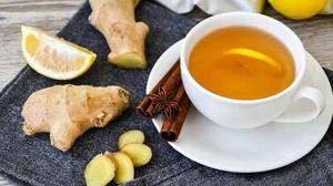 Auténtico Té de Jengibre Orgánico a Base de Hierbas con Piel de Limón y Especias Cálidas, Bolsitas de Té Cuidadosamente Seleccionadas, Daily Bota - Product Image 3