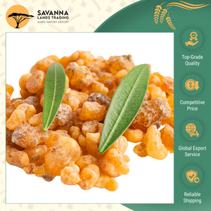 Experiencia Profunda en la Fabricación de Goma Copal de Calidad Superior, Apta para Uso en Incienso y Productos de Fragancia - Product Image 4