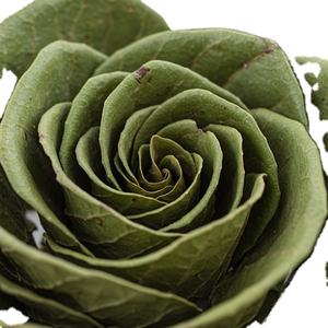 Hojas de Guanábana de hierbas vietnamitas secas naturalmente, producto agrícola a un precio económico - Product Image 2