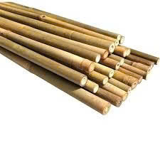 Caña de Bambú Natural, Varas Largas de Bambú, Postes de Bambú, Precio Económico, Proveedor de Vietnam - Product Image 5