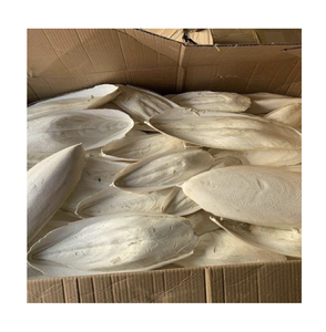 Hueso de Sepia Seco Natural al por Mayor, Fuente de Calcio de Alta Pureza para la Fabricación de Alimentos para Mascotas y Suplementos Nutricionales para Aves - Product Image 1