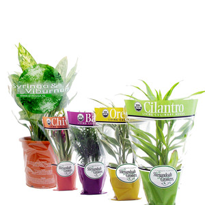 Manchons en PP personnalisés avec logo pour fleurs, sacs d'emballage en plastique coniques de qualité alimentaire biodégradables avec trous d'aération pour basilic - Product Image 1