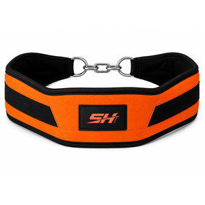 Premium Padded Neoprene Dip <b>Belt</b> With Secure Chain Attachment for Bodyweight <b>Exercises</b> Weighted Fitness Wear Custom Gym <b>Belt</b> - Product Image 1