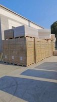 Panneaux solaires Trina N-type I-TOPCon TSM-NEG19R.70 600W 610W 620W 630W en promotion