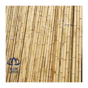 HIGH QUALITY 2026 Bamboo Poles Safe Clean Finish for Decoration Use and <b>Farming</b> Support Durable Long Lasting Easy Handling - Product Image 1