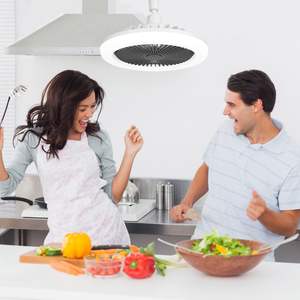 Ventilateur de plafond LED E27 de 9,44 pouces avec éclairage, télécommande, variateur d'intensité, couleur et luminosité réglables, 3 vitesses de ventilation, minuterie - Product Image 2