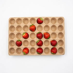 Emballage pour fruits écologique, anti-casse, compostable, plateau en pulpe moulée, plateau pour fruits frais, fabricant vietnamien, boîtes en papier - Product Image 1