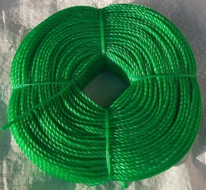 Multi Purpose Polyethylene <b>Rope</b> Flexible PE <b>Rope</b> for Farming Packing and General Use Abrasion Resistant Polyethylene <b>Rope</b> Tough - Product Image 3
