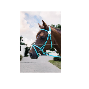 Brida de PVC para caballos de la mejor calidad, equipo Multicolor para montar a caballo, colorido, fuerte y duradero con brillos de tela - Product Image 1