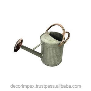 Arrosoirs d'un gallon en acier inoxydable pour l'arrosage des plantes de jardin intérieur extérieur (argent 1 gallon) - Product Image 5