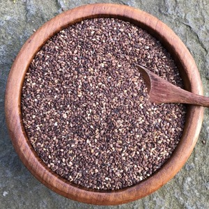 Semillas de Sésamo Marrón Cuidadosamente Seleccionadas, Listas para Exportación, Empaque a Granel para Compradores Importadores que Buscan un Suministro de Ingredientes Naturales Ricos en Aceite - Product Image 4