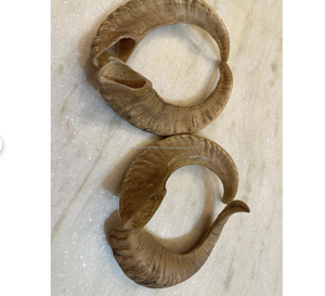 Corne de mouton avec couleur naturelle de corne brune, produit de haute qualité, idéal pour la décoration intérieure - Product Image 4