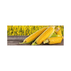 Graines de maïs jaunes 100% naturelles de qualité supérieure pour l'exportation au Portugal - Product Image 5