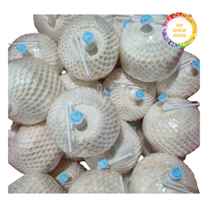 Coco Fresco Joven de Fácil Apertura para Minoristas de Bebidas y Cadenas de Supermercados, Precio al por Mayor de Fábrica - Product Image 1