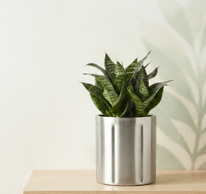 Jardinières décoratives argentées de taille moyenne pour plantes et fleurs, pots en métal pour l'intérieur et l'extérieur - Product Image 1