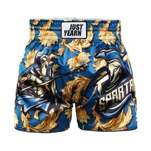 Pantalones Cortos de Muay Thai para Hombre, Estampado de Rayos, Cintura Elástica, para Entrenamiento en Gimnasio, Kickboxing, Ligeros, Coloridos, Top para Hombre, Muay Thai, Artes Marciales - Product Image 3