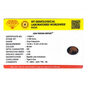 Natural Tiger Eye Gemstone 8.8 Carat Certified Wholesale Yellow Cat's Eye 20mm - Product Image 4