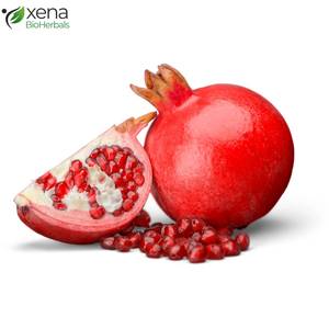 Extracto de Granada Natural en Polvo, Polvo de Fruta Botánica de Calidad para Formulaciones OEM - Product Image 2