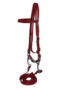 Conjunto de Brida Clásica de Nailon para Caballo con Riendas a Juego y Herrajes Metálicos Ajustables para Montar, Entrenar, Cuidar y Uso Diario - Product Image 1