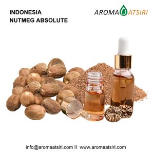 Absolue de Muscade Indonésienne Premium – Extrait 100 % naturel de Myristica fragrans pour la parfumerie, les cosmétiques et l'aromathérapie - Product Image 1