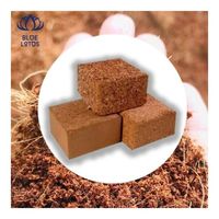 Bloc de tourbe de coco à faible teneur en EC, fibres propres, idéal pour la culture hydroponique et les mélanges de rempotage – Excellent rapport qualité-prix