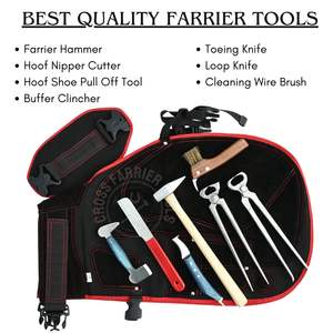 Juego de herramientas de herrador que incluye extractor de herraduras, cuchillo para pezuñas, pulidor de pezuñas, martillo para clavos, delantal de cuero y alicates para pezuñas. - Product Image 2