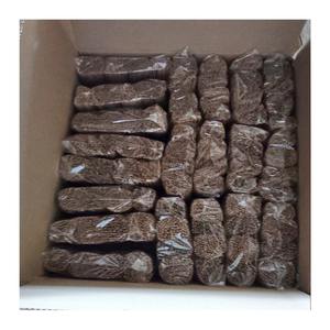 Varillas de Incienso de Agarwood Ecológicas Premium, Flores Secas de Cilantro, Fragancia Natural, Difusores a Granel con Certificación ISO 9001 - Product Image 3