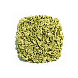 Best Offers Organic Fresh Fennel Seeds Naturally Made For Multi Type Uses Food Grade Seeds By Indian Manufacturer