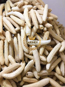 Hot Selling Natural Eco-friendly Loofah Sponge Dried Loofah Sponge Made in Vietnam Very Good Quality - Product Image 2