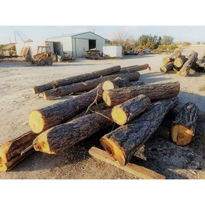 Troncos de Madera Blanda Natural, Troncos para Pelar Madera, Madera Sólida Ideal para Pelar, Revestir Paneles y Aplicaciones de Construcción - Product Image 3