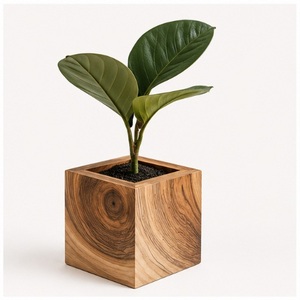 Wholesale Modern Eco-Friendly Square Wooden Planter <b>Box</b> for Indoor Plants Mango Wood Cube <b>Flower</b> Pot Customizable Size and Logo - Product Image 4