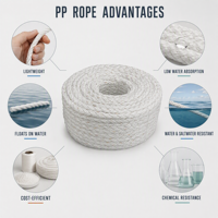 Corde en polypropylène à 12 brins, corde synthétique PP pour lignes de bateaux, aquaculture, agriculture et usage général