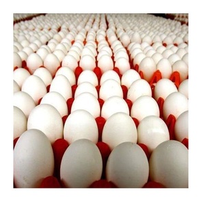 ไข่ไก่สดจากฟาร์ม ไข่ไก่เปลือกสีน้ำตาลและสีขาวในประเทศไทย - Product Image 5