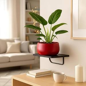 Elegante Maceta de Metal para Flores, para Sala de Estar y Oficina, Maceta Premium para Suculentas de Sobremesa, Maceta Decorativa Moderna y Regalo para el Hogar - Product Image 6