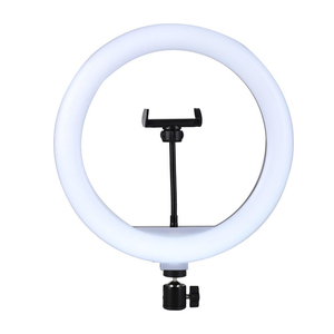 Dia 26cm 10inch 10W Led Selfie Ring Light 10inch Big Size Lash Lamp With USB Charging Light Ring - Product Image 1