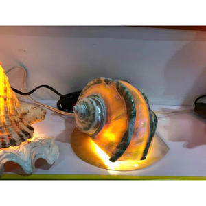 Lampe de chevet unique à tendance chaude et coquillage de haute qualité fabriqués à la main au Vietnam, un artisanat à la mode au Vietnam - Product Image 5