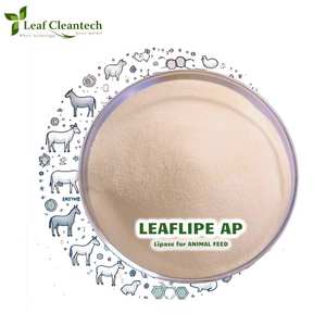Lipase <b>Enzyme</b> for Animal Feed-Fat Digesting Feed Grade Lipolytic <b>Enzyme</b>-Improves Nutrient Absorption | Animal Feed <b>Enzymes</b> | - Product Image 1