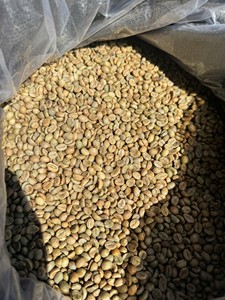 High Quality Robusta Green <b>Coffee</b> <b>Beans</b> for Espresso Blend Wet polished Size 16 Vietnam Highland Export Supply - Product Image 2